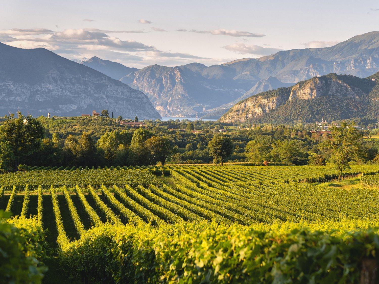 La Corte Del Bona - Vicino Alle Cantine E A Circa 15 Minuti Dal Lago Di Iseo - Apartment Erbusco Ngoại thất bức ảnh